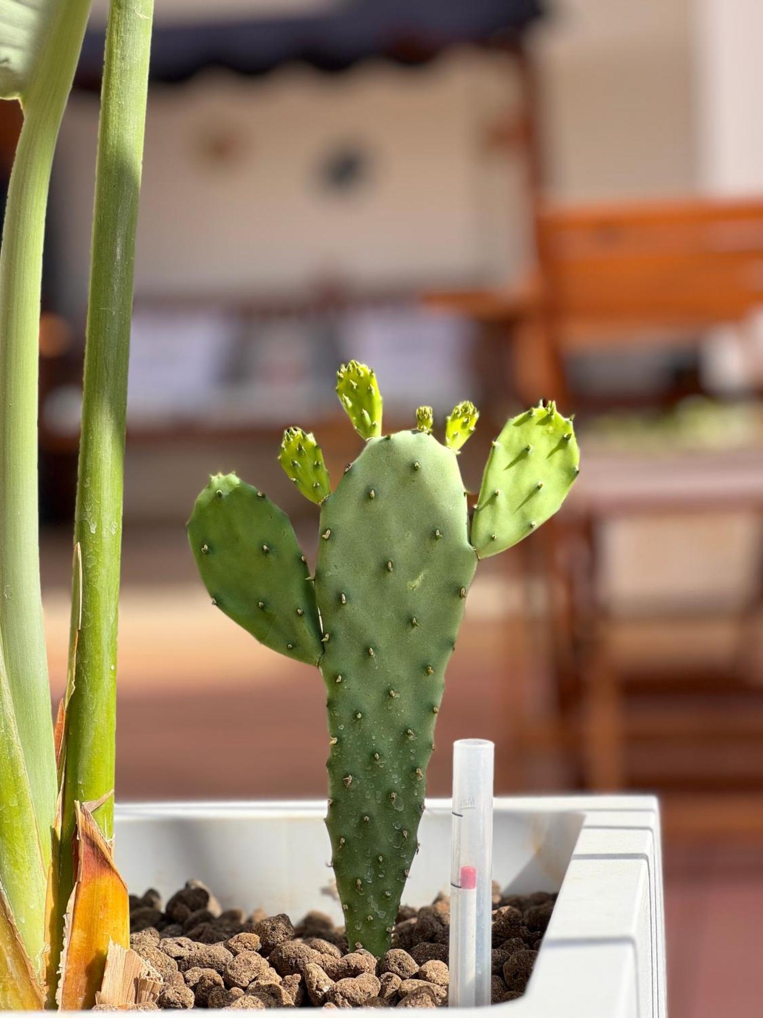 B&B Santa Maria Di Leuca Extérieur photo